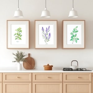Botanical Prints Wall Art 3 Set gift Watercolor Herbal Herb Prints for Kitchen or Home Decor Greenery Printable Minimal Botanical Download