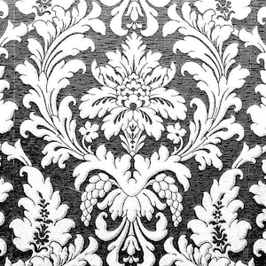 Peut inclure: Un motif de papier peint damassé noir et blanc présentant des motifs floraux et végétaux symétriques complexes. Le design se compose de formes organiques blanches audacieuses avec des lignes détaillées sur un fond noir uni.