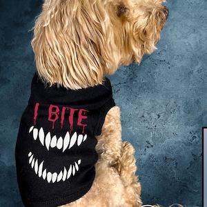 May include: A small, light brown dog wearing a black tank top with the words "I Bite" and a red dripping vampire mouth graphic. The dog is sitting on a blue textured surface.
