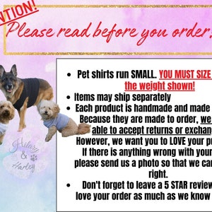 Merry & Bright dog shirt, matching Christmas, Christmas apparel, dog clothes, holiday matching set, family pajama set, Christmas cheer image 2