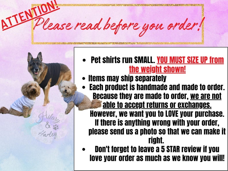Merry & Bright dog shirt, matching Christmas, Christmas apparel, dog clothes, holiday matching set, family pajama set, Christmas cheer image 2