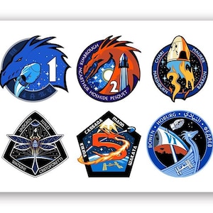 Puede incluir: Seis parches circulares coloridos con los nombres de los astronautas y los números de misión. Cada parche presenta un diseño único, que incluye un dragón, una libélula y una nave espacial. Los parches están dispuestos en dos filas de tres.