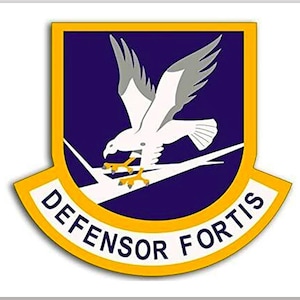 May include: A yellow and blue patch with a white eagle in flight. The eagle is holding a white branch in its talons. The text "DEFENSOR FORTIS" is written in a yellow arc around the eagle.