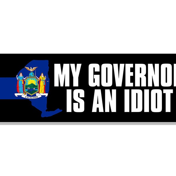 3x9 inch My NEW YORK Governor is an Idiot Bumper Sticker (decal anti Kathy Hochul) ny nyc