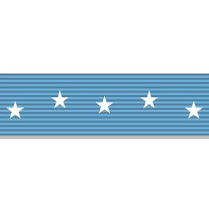 Calcomanía para parachoques con cinta de MEDALLA DE HONOR de 3 x 9 pulgadas (calcomanía de vinilo militar para auto, camión, casa rodante, computadora portátil, celular, ejército, soldado, fuerzas armadas, iPhone)