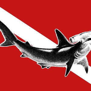 4x6 inch Scuba Dive Flag with Hammerhead Shark Sticker (diving diver car auto car truck rv laptop cell iphone ocean vinyl ocean reef decal)