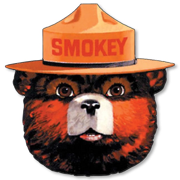 3x3 inch Full Color SMOKEY BEAR Face Shaped Sticker (scrapbooking us forestry logo hat forest camp camping prevent forest fires hike)