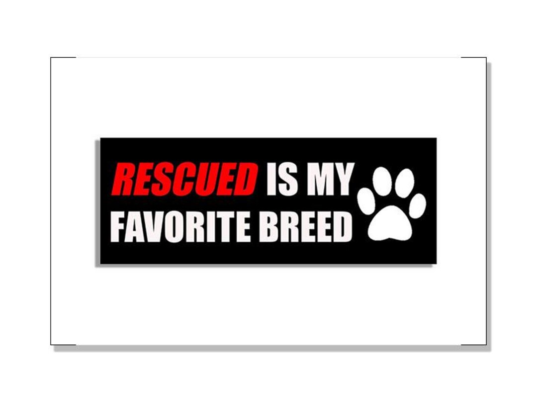 thumbnail image 2 of Who Rescued Who? Dog Paw Bumper Sticker – Vinyl Decal For Animal Shelter Support 2 of 6
