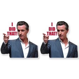 Newsom I Did That - Etsy