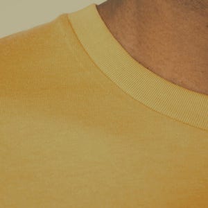 unisex organic cotton t-shirt, regular fit