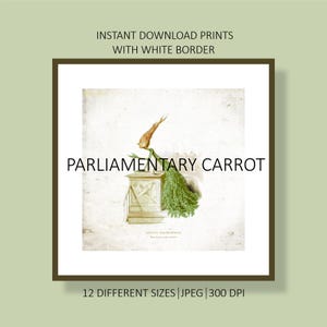 May include: A digital print featuring a vintage illustration of a carrot labeled "Parliamentary Carrot." The artwork includes a carrot on a pedestal with green foliage. The print has a white border and text that reads "Instant Download Prints With White Border."