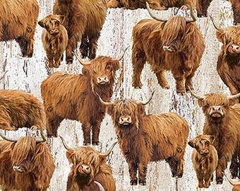 Northcott Highland Home  Cows