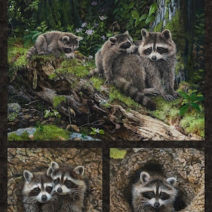May include: A digital illustration of a family of raccoons in a forest setting. The raccoons are depicted in a realistic style with brown fur and black masks. The image is divided into three sections, with the top section showing the raccoons in a forest clearing, the middle section showing two raccoons in a tree trunk, and the bottom section showing a raccoon peeking out of a tree trunk.