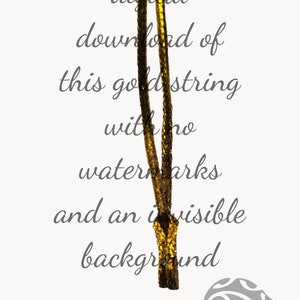 May include: You get a digital download of this gold string with no watermarks and an invisible background. Kiwi Design Aotearoa New Zealand.