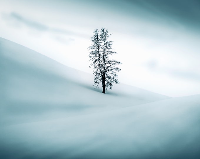 Walking In Winter Wonderland: Lone Tree -Idaho Travels- Paper Print/Canvas/Metal/Acrylic  Home/Cabin Wall Décor/Unique Minimalistic Gift