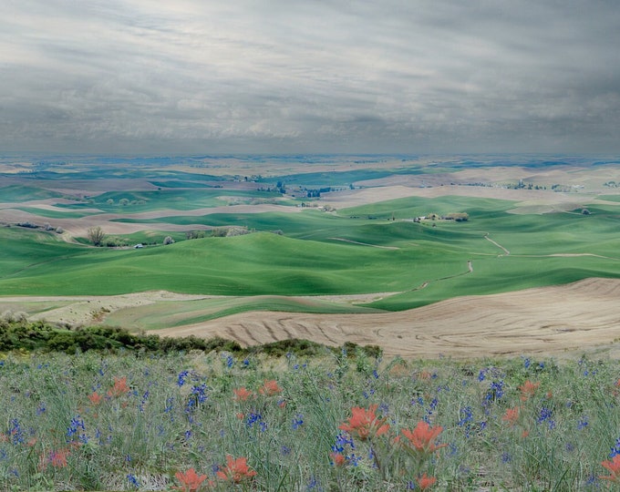 Vintage Vista: Palouse Patchwork-Steptoe Butte, Countryside Hills/Farms Fine Art Photography Print-Canvas-Metal-Acyrlic Wall Décor or Gift