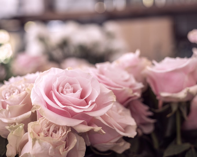 Rose Photography - Old Fashioned Romantic Pale Pink Roses, Vintage, Bouquet Wall Art,   Paper-Canvas-Metal-Acrylic Home Décor or Unique Gift