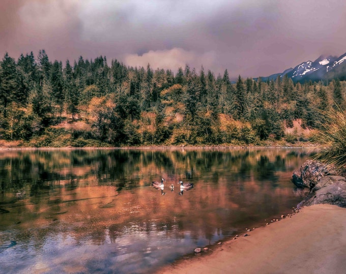 Autumn Splendor: Geese on St. Joe River, Idaho-Large Fine Art  Horizontal Photo Painting/Print-Canvas-Metal-Acrylic/Rustic Home/Unique Gift