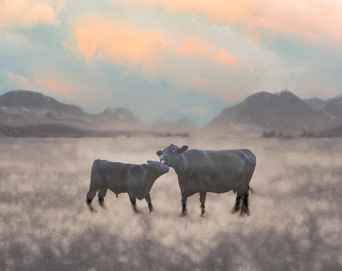 Cow and Calf: Love You Til the Cows Come Home-Farmhouse, Farm Animal, Nursery Horizontal Wall Art Picture Print-Canvas-Metal-Acrylic