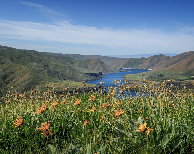 Idaho Summer Flower and Lake View: Lucky Peak Reservoir and Hills, Boise, Idaho Horizontal Print-Canvas-Metal-Acrylic Fine Art Home Gift
