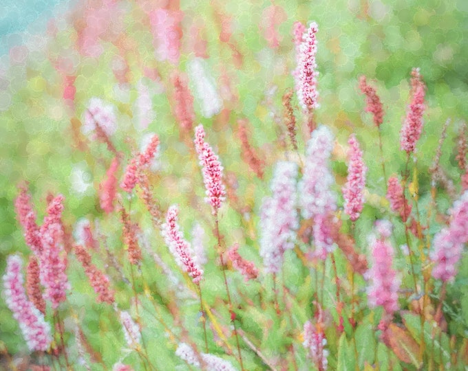 Pink Fleece Wildflowers Wall Art Photo Print-Canvas-Metal-Acrylic Fine Art Photography Home-Cottage-Wall Décor or Gift