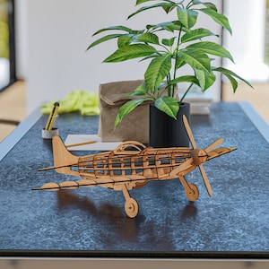 May include: A wooden model airplane with a brown finish sits on a dark gray table. The airplane has a propeller and wings. A potted plant with green leaves is in the background.