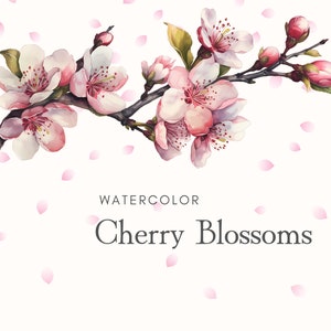 Fiori di ciliegio ad acquerello / Clipart Sakura / Cornici e ghirlande floreali / Arte floreale primaverile / Illustrazioni di fiori