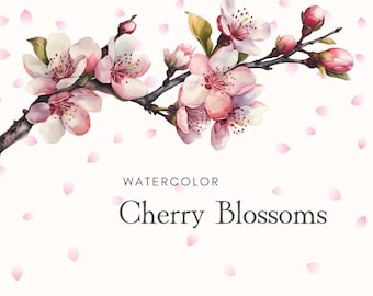 Aquarel kersenbloesems | Sakura-illustraties | Bloemenlijsten en kransen | Lente bloemsierkunst | Bloesemillustraties