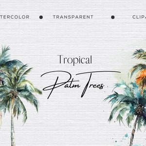Tropical Watercolor Palm PNGs - Exotic Palm Tree Clipart - Beach Graphics - Premade Designs - Watercolor Clipart