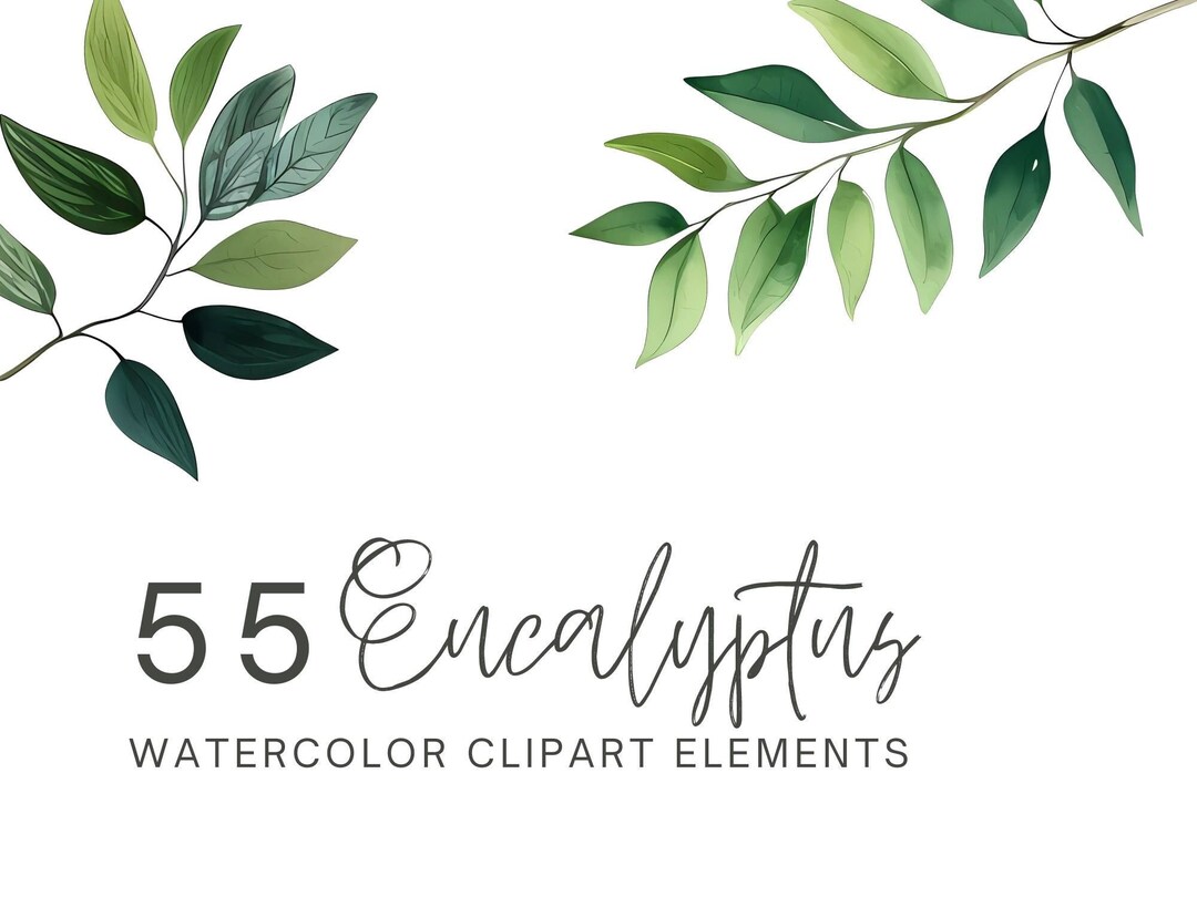 Watercolor Eucalyptus Clipart - Elegant Vine & Greenery Elements - 300 ...