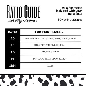 May include: A chart with the title "RATIO GUIDE" and the text "dorothy+delmar" below it. The chart lists different aspect ratios and corresponding print sizes in inches. The ratios listed are 2:3, 3:4, 4:5, 1:1, and 11:14.