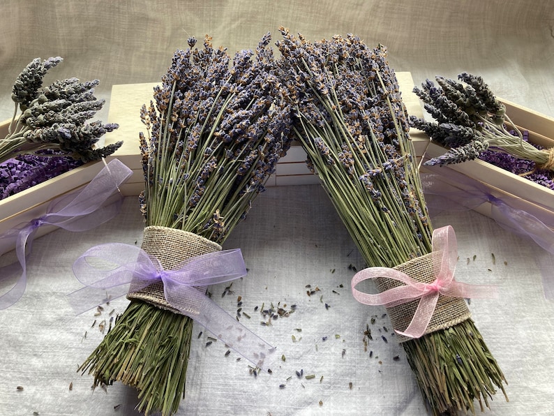 Dried Lavender Bunch Dried Lavender Bouquet Dried Lavender Flowers
