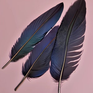 Summon Succubus Spell - Etsy