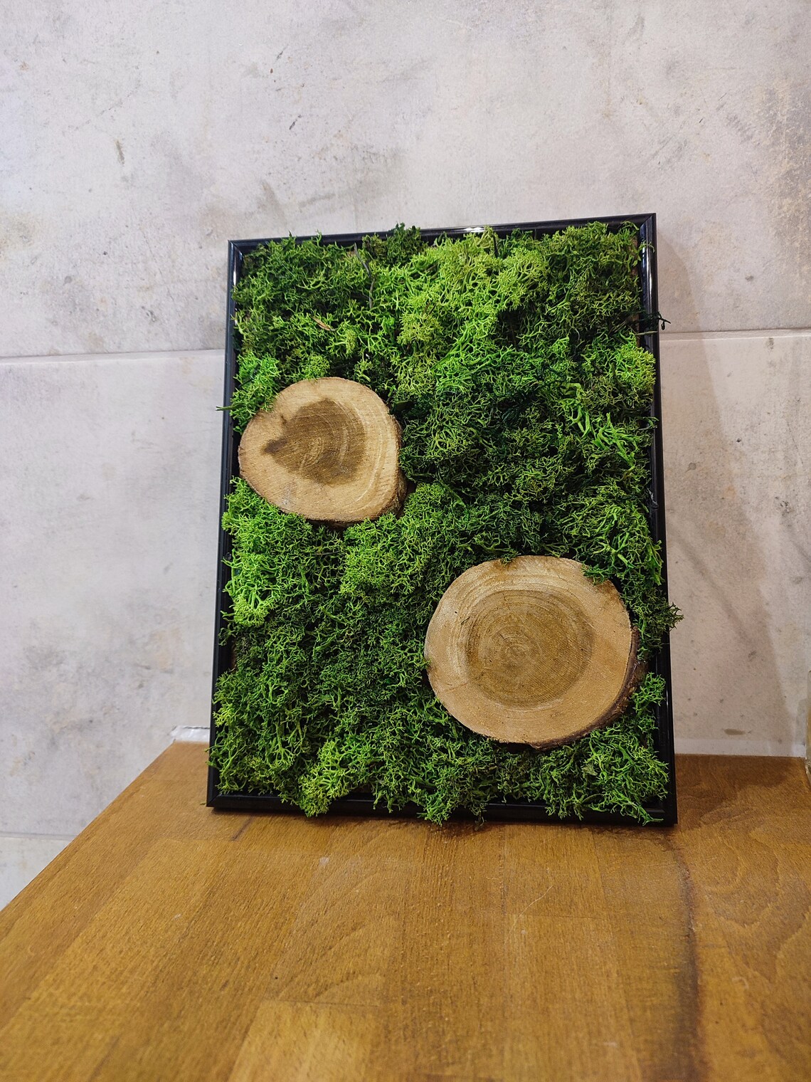 Unique Moss Wall Art Living Moss Artwork Botanical Wall Etsy