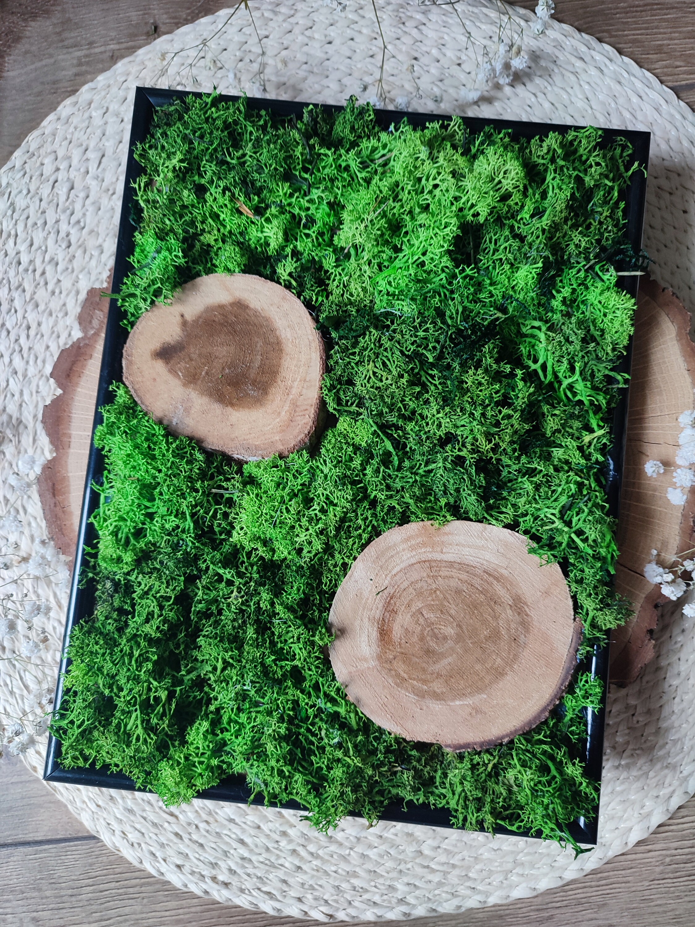 Unique Moss Wall Art Living Moss Artwork Botanical Wall Etsy