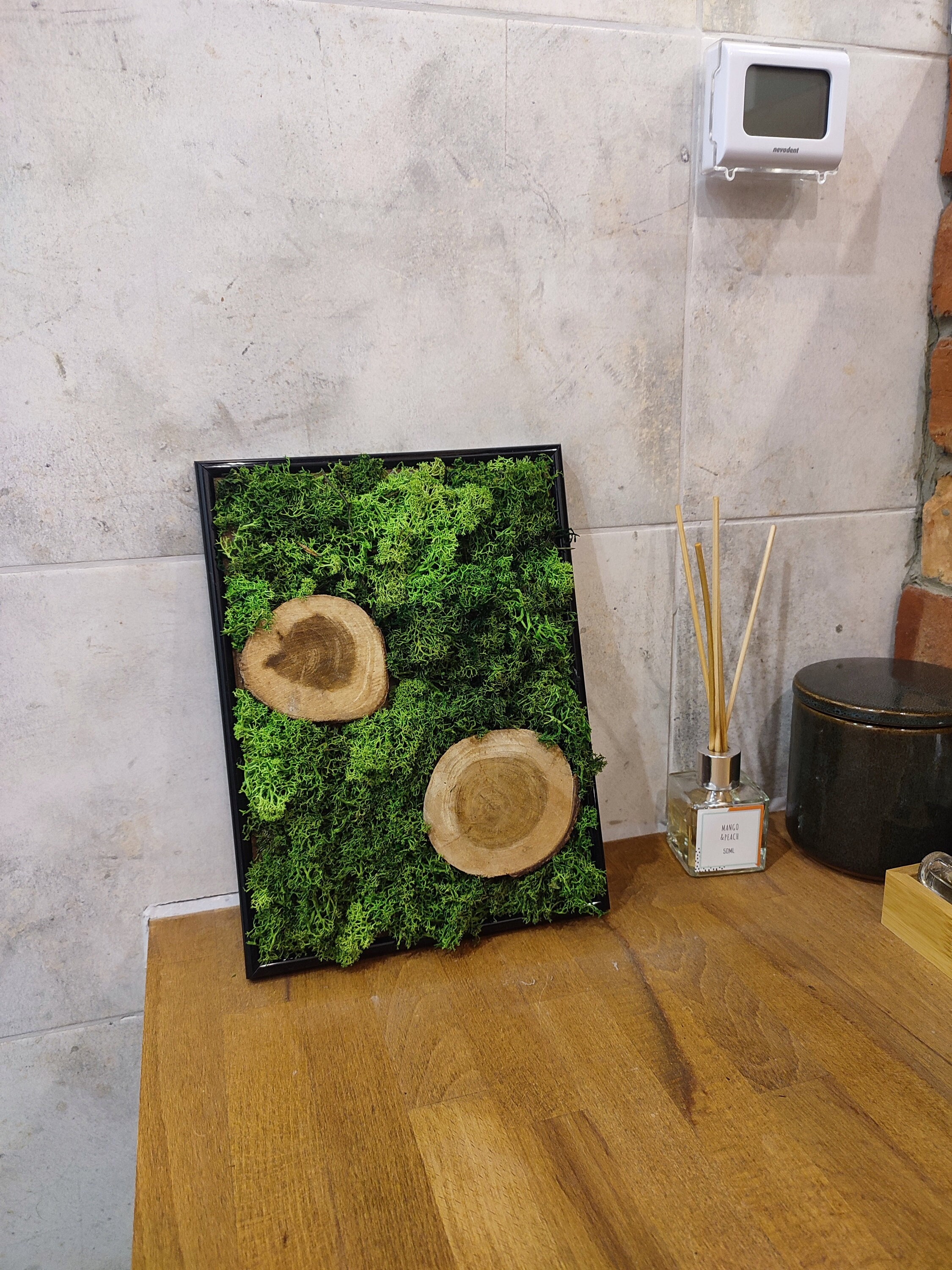 Unique Moss Wall Art Living Moss Artwork Botanical Wall Etsy
