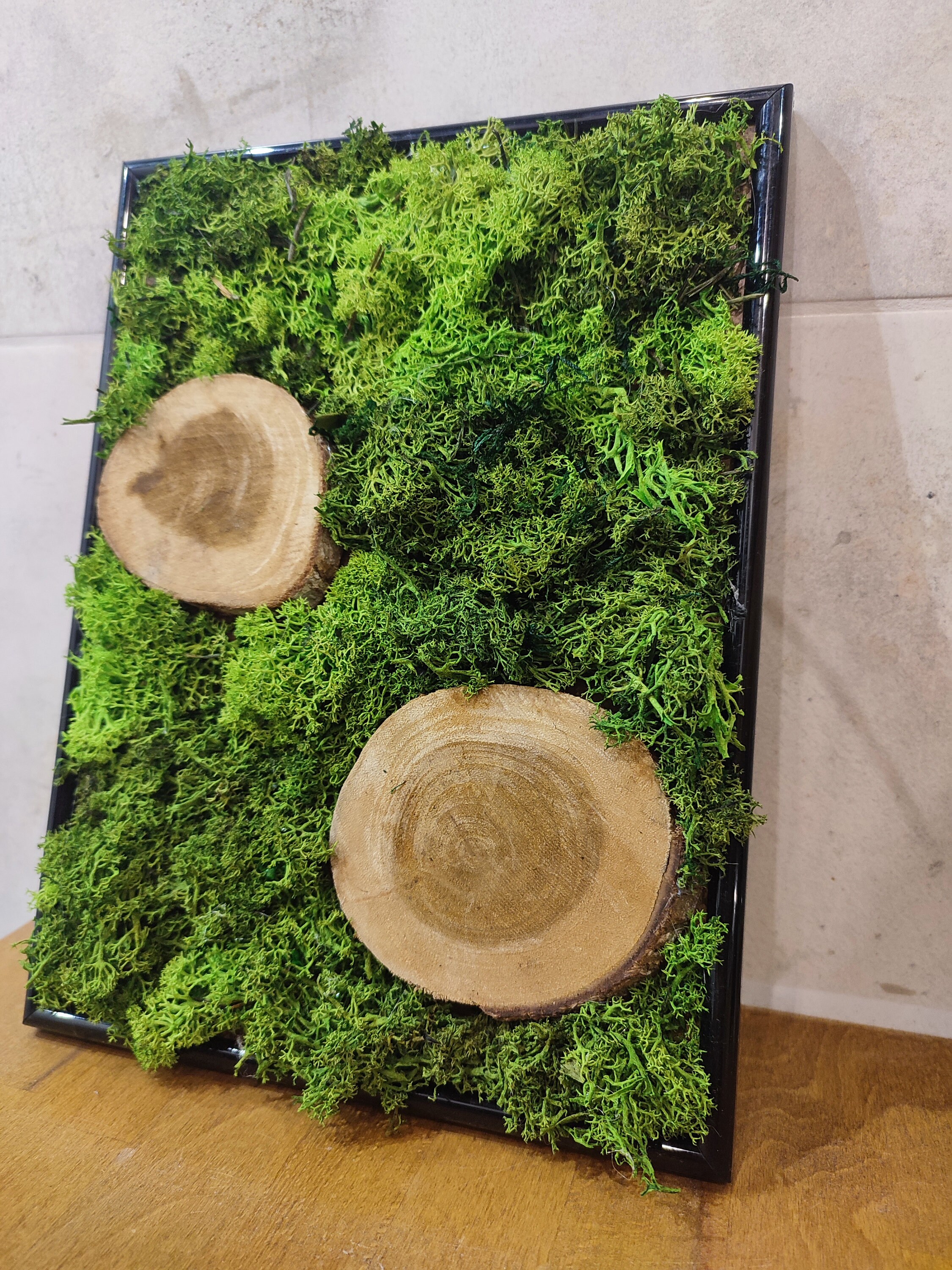 Unique Moss Wall Art Living Moss Artwork Botanical Wall Etsy