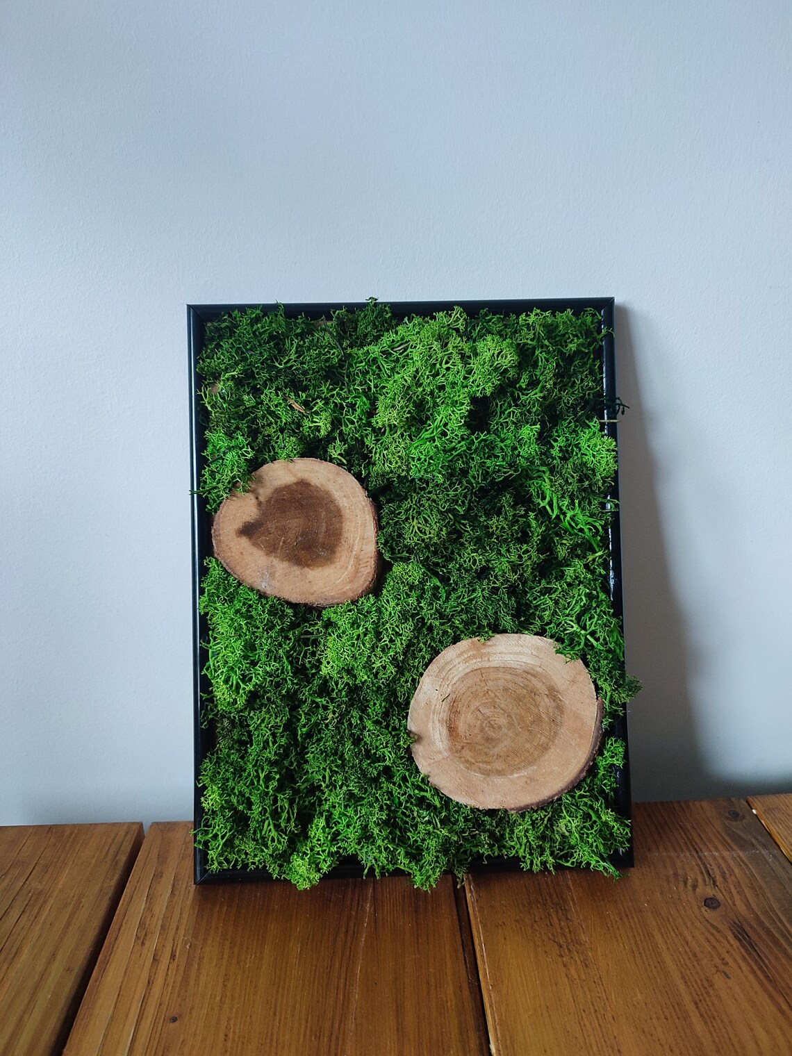 Unique Moss Wall Art Living Moss Artwork Botanical Wall Etsy