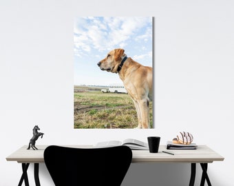 Portrait sur toile « Archie the Gundog »