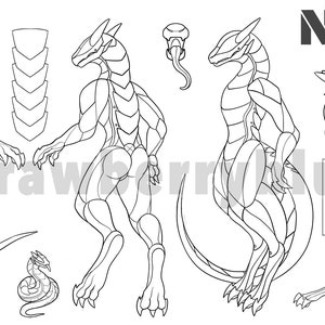 May include: Line art drawing of a dragon character design with different poses and details. The drawing includes a full body view, a side view, a close-up of the head, and a close-up of the wings. The text "Name" is written in bold letters at the top of the image.