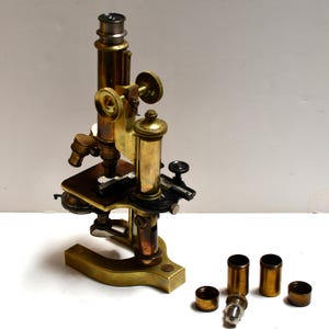 Antique Brass Bausch Lomb Microscope - Late 1800s - Original Objectives & Lenses - Scientific Instrument - Vintage Lab Decor