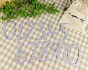 Acrylic Number Set to 10 | State Fonts | Math Manipulatives | Numbers to 10 |