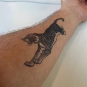 Big Tiger Tattoo | 2 Week Temporary Tattoo | Plant Based Vegan Tattoo | Animal Tattoo | Festival Tattoo | Waterproof Tattoo | Painless Tatto