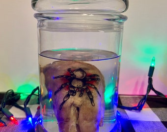 Può includere: Un barattolo di vetro trasparente con coperchio, contenente un oggetto conservato immerso nel liquido. L'oggetto ha un tatuaggio di un ragno con segni rossi. Il barattolo è su una superficie a scacchi bianchi e neri, con luci colorate sullo sfondo.