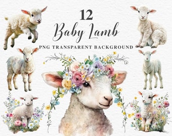 Cute Baby Lamb Clipart | Watercolor Farm Animals PNG | Sublimation Designs | Floral Flowers Illustration | Nursery Art Files | Scrapbooking