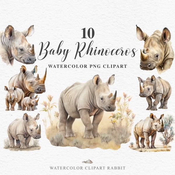 Mignon bébé africain rhinocéros blanc PNG Clipart | Animaux de safari de la savane | Art mural de pépinière de jungle | aquarelle, illustration, sublimation, lion