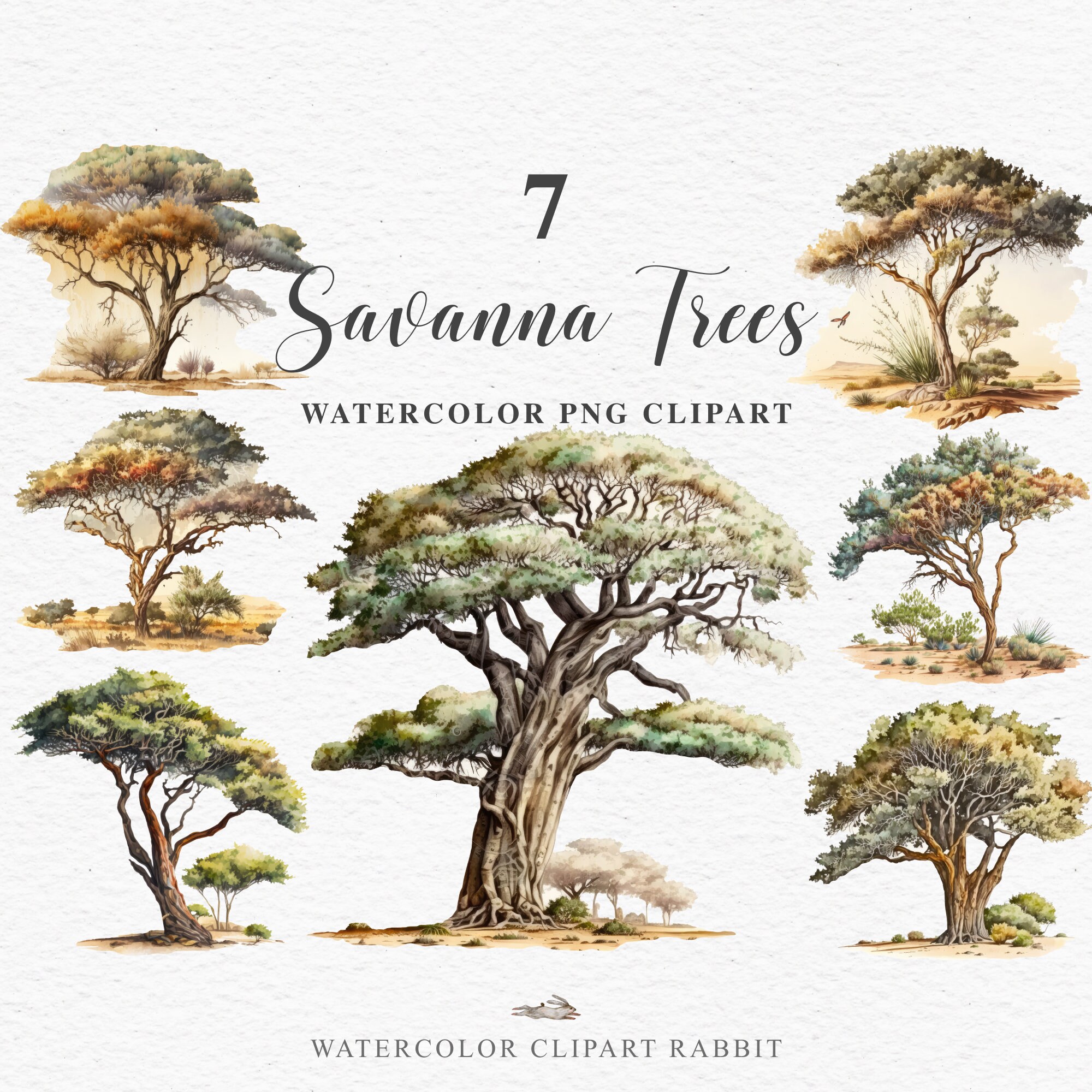 Savanna Tree Nature PNG Clipart Safari Animals Jungle Etsy