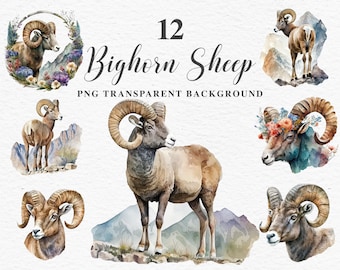 Bighorn Sheep Clipart | Watercolor Sheep PNG | Commercial License | Clipart Bundle | Nursery Art Files | Scrapbooking | Invitation Card