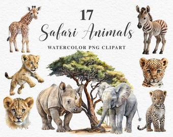 Safari Baby Animals PNG Clipart | Savanna | Jungle | African lion, Giraffe, Elephant, Zebra, Rhino Watercolor Illustration | Savanna Image