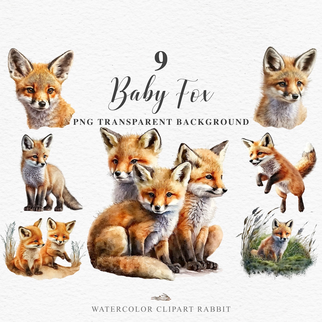 Baby Fox PNG Clipart Cute Forest Animals Floral Nursery Wall Art Cute